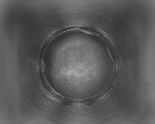 X0000054400203200508011331