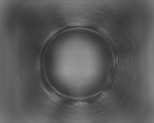 X0000054400204200508011331