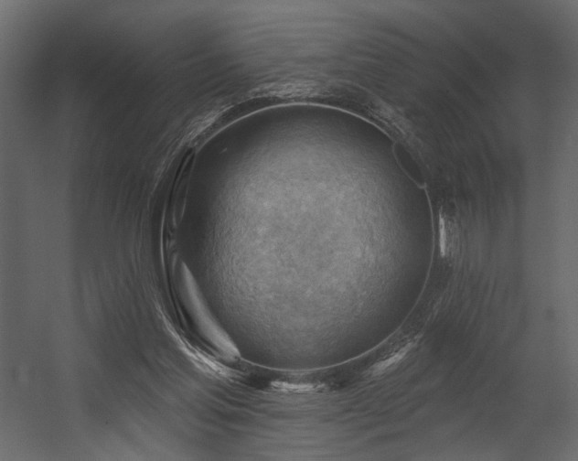 X0000054400205200508011331