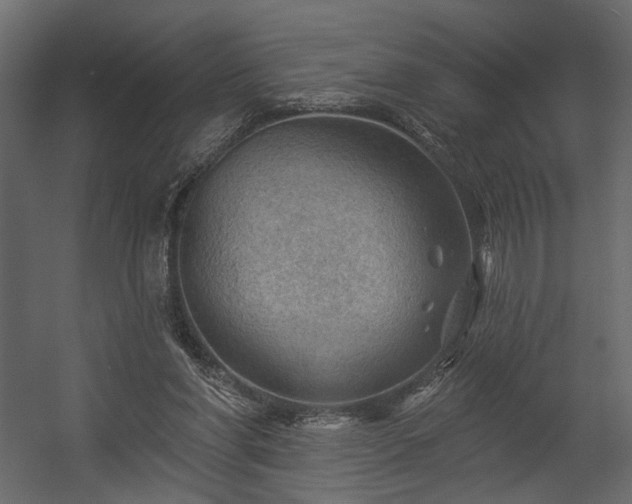 X0000054400206200508011331