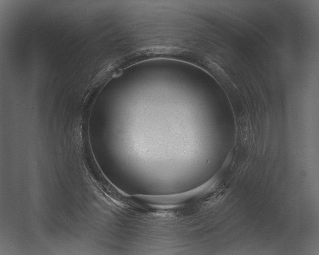 X0000054400207200508011331