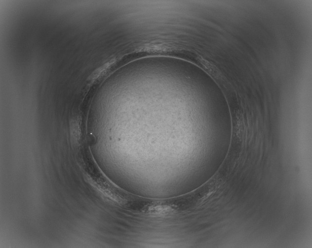 X0000054400208200508011331