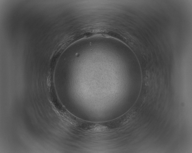 X0000054400210200508011331