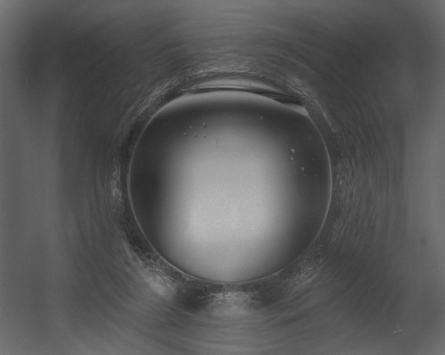 X0000054400212200508011331