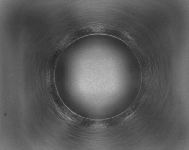 X0000054400213200508011331