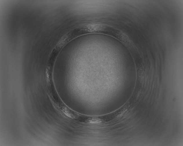 X0000054400214200508011331