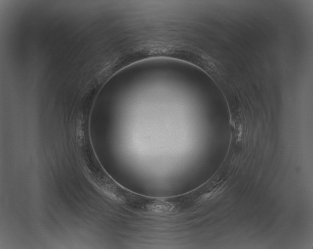 X0000054400215200508011331