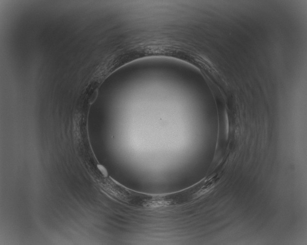 X0000054400217200508011331