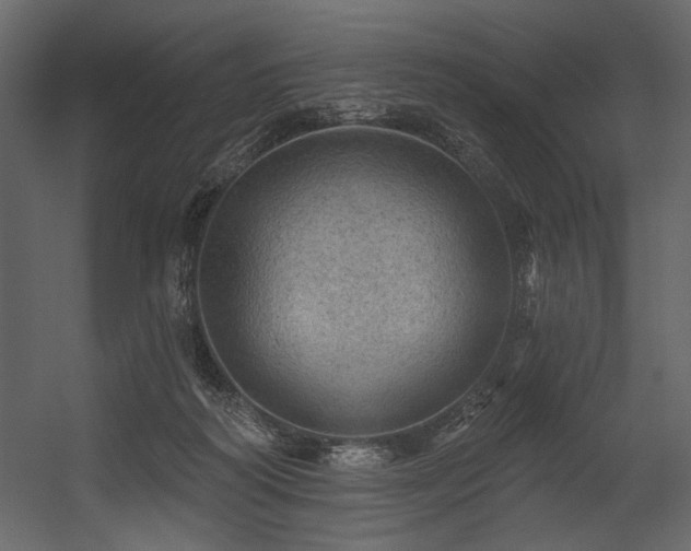 X0000054400218200508011331