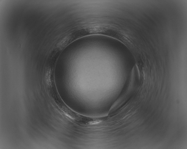 X0000054400219200508011331