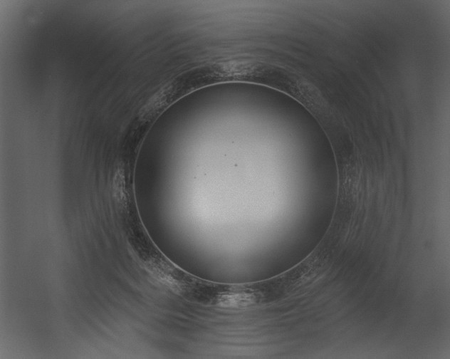 X0000054400220200508011331