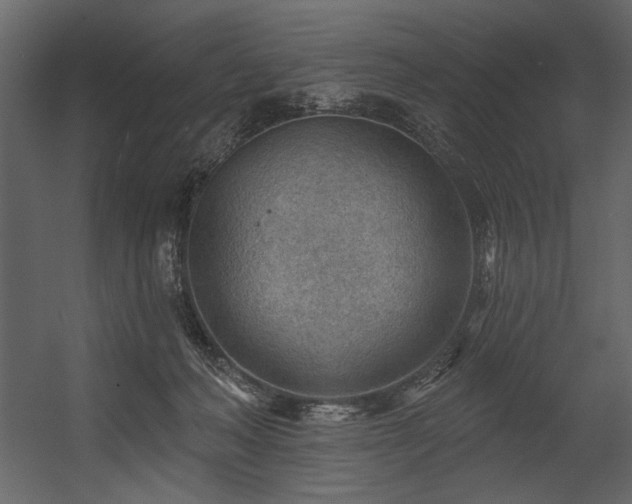 X0000054400222200508011331