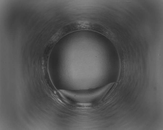 X0000054400223200508011331