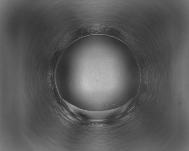 X0000054400225200508011331