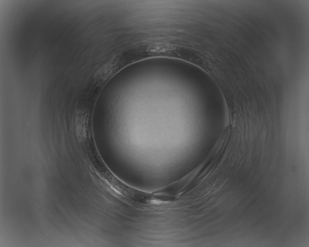 X0000054400227200508011331