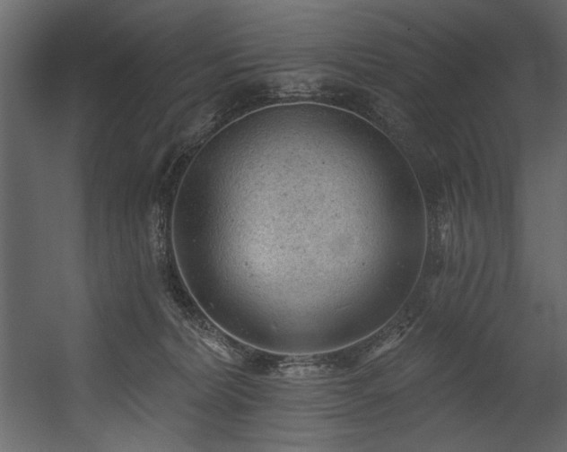 X0000054400228200508011331