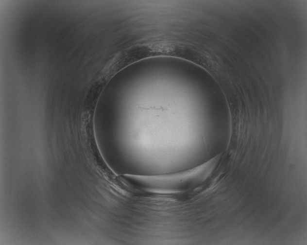 X0000054400229200508011331