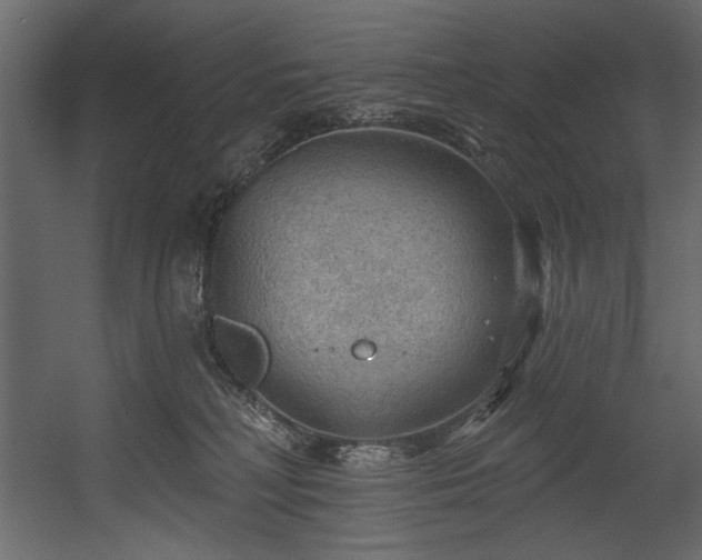 X0000054400230200508011331