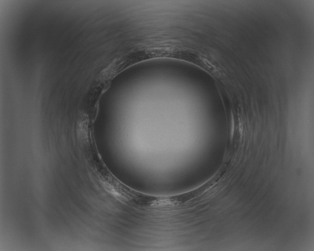 X0000054400231200508011331