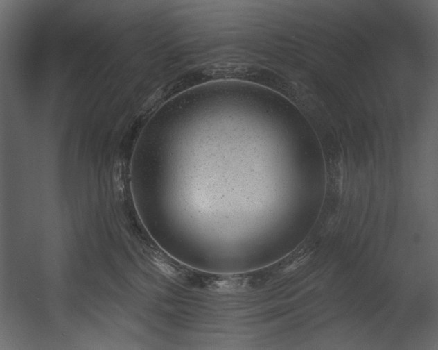 X0000054400232200508011331