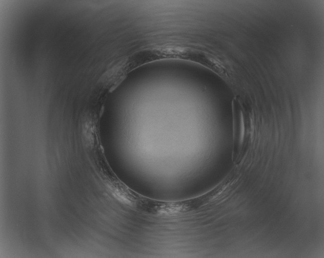 X0000054400235200508011331