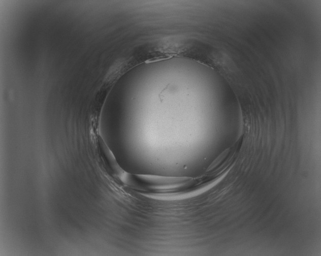 X0000054400237200508011331