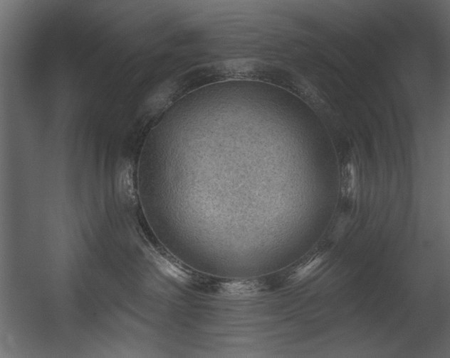 X0000054400238200508011331