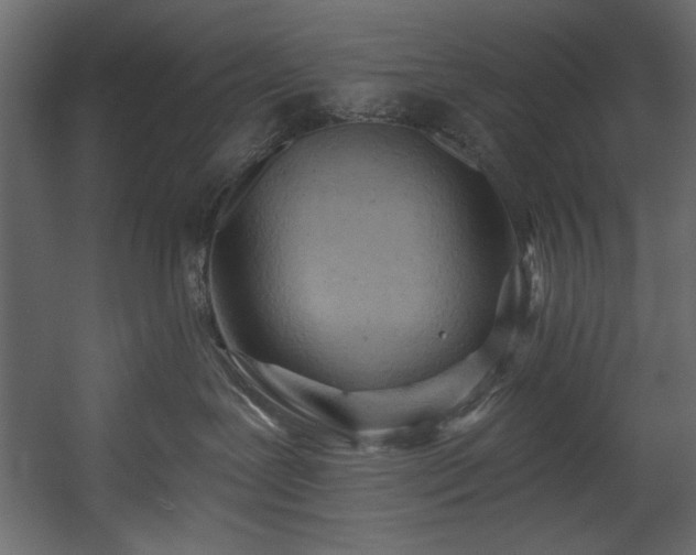 X0000054400239200508011331