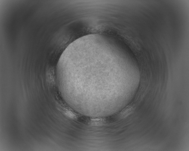 X0000054400240200508011330