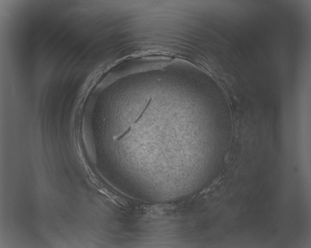 X0000054400241200508011330