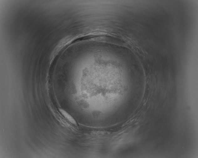 X0000054400242200508011330