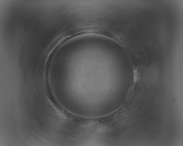 X0000054400243200508011330