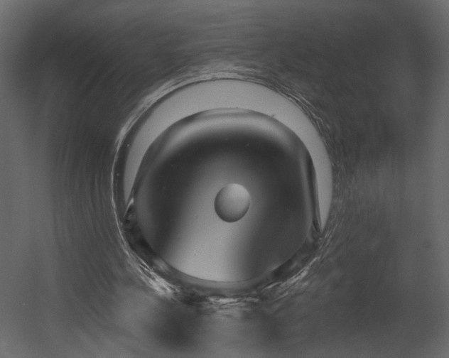 X0000054400244200508011330