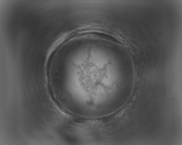 X0000054400245200508011330