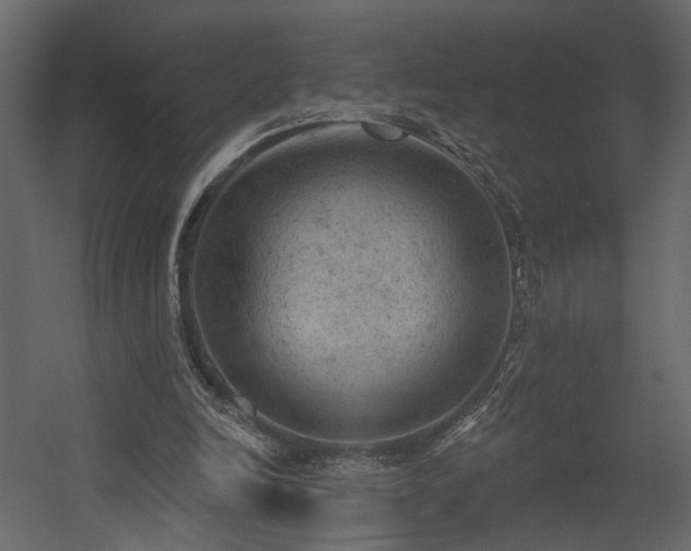 X0000054400246200508011330