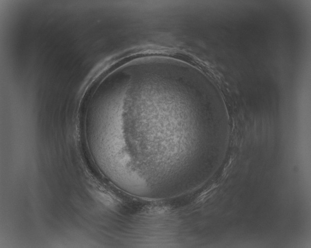 X0000054400247200508011330