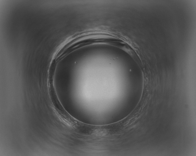 X0000054400248200508011330