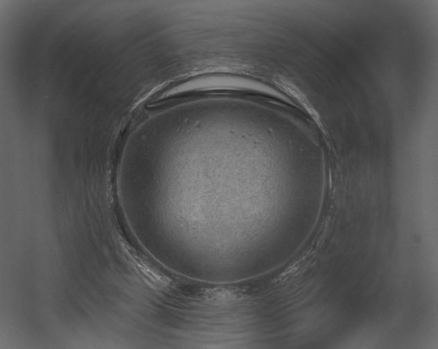 X0000054400249200508011330