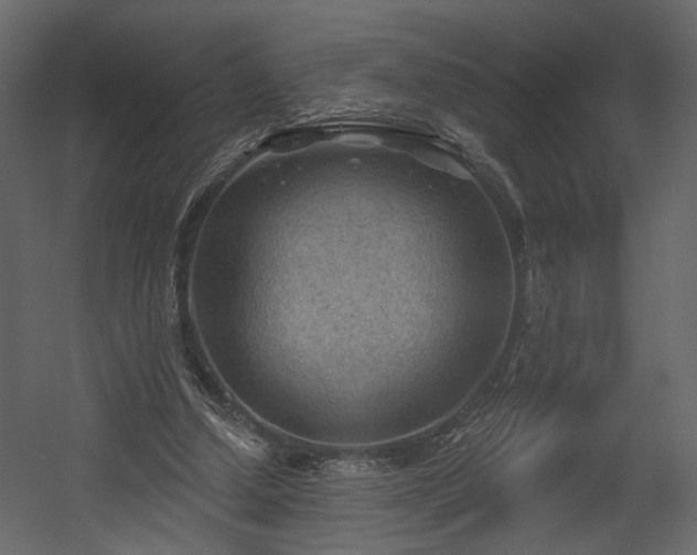 X0000054400250200508011330