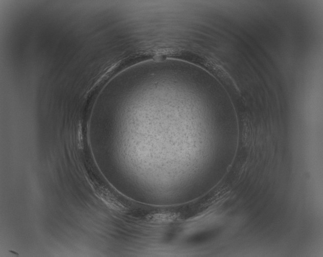 X0000054400251200508011330