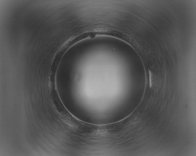 X0000054400252200508011330