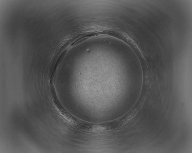 X0000054400257200508011330