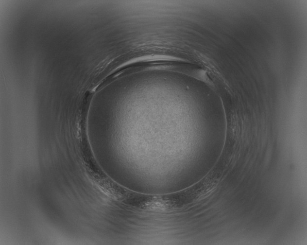 X0000054400259200508011330