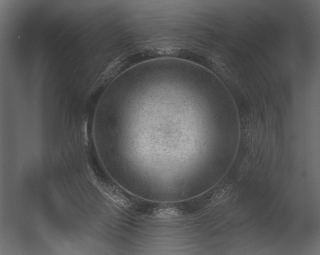 X0000054400262200508011330