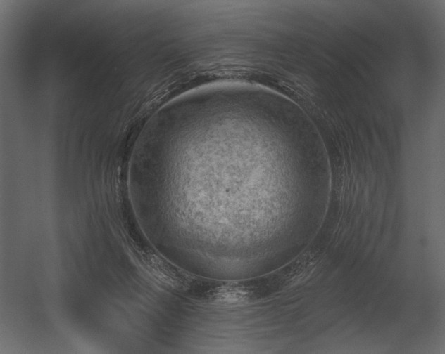 X0000054400263200508011330