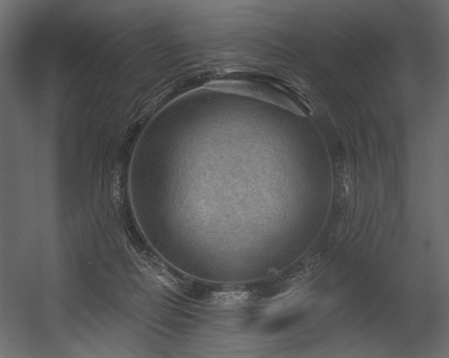 X0000054400266200508011330