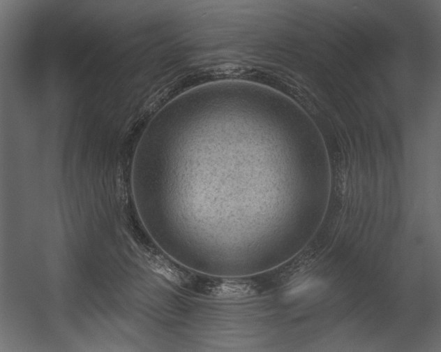 X0000054400270200508011330