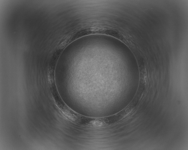 X0000054400272200508011330