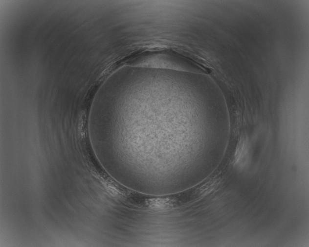 X0000054400273200508011330