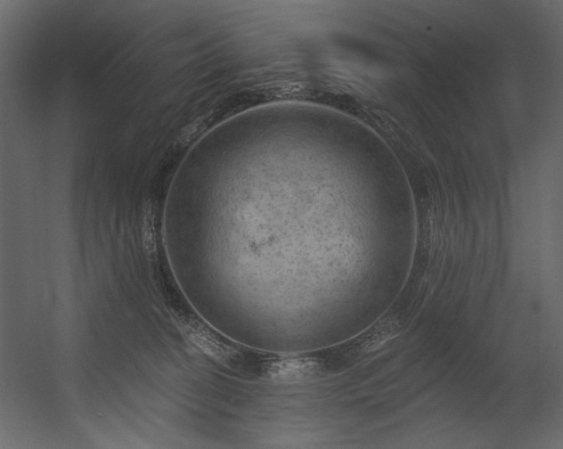 X0000054400274200508011330